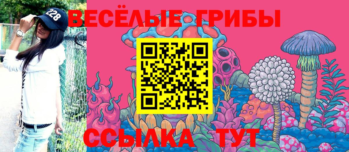Псилоцибиновые грибы Psilocybe  Вход с VPN  Рыбинск 